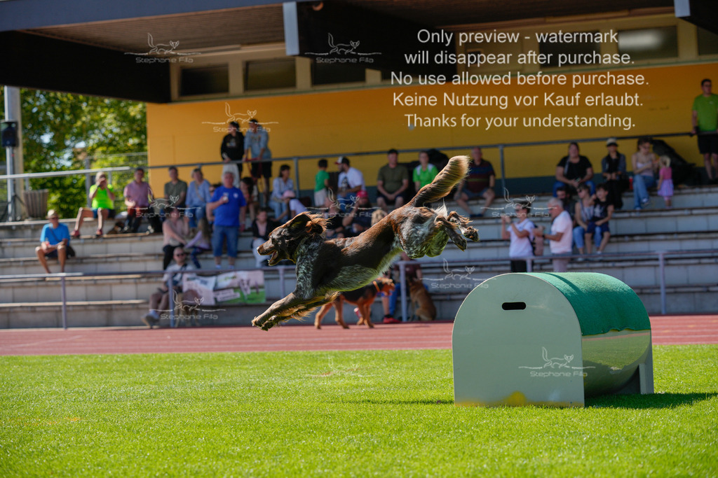 Sonntag_VK Hindernis (442 von 671) | stephaniefillaphotographie - Realisiert mit Pictrs.com