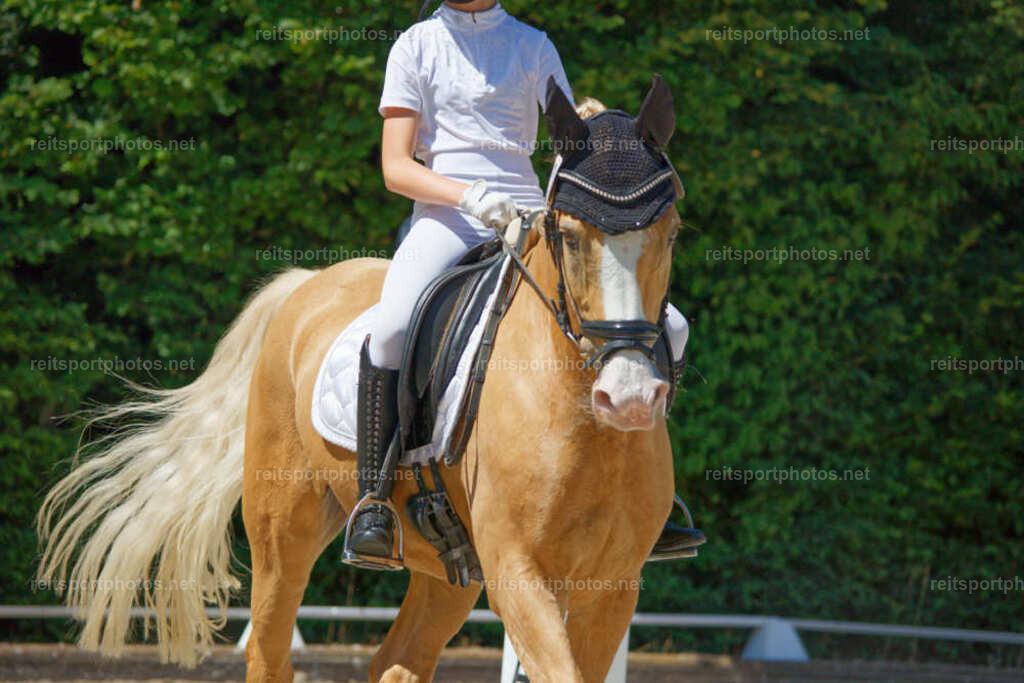JHE_6367 | JoYa Fotografie - Realisiert mit Pictrs.com