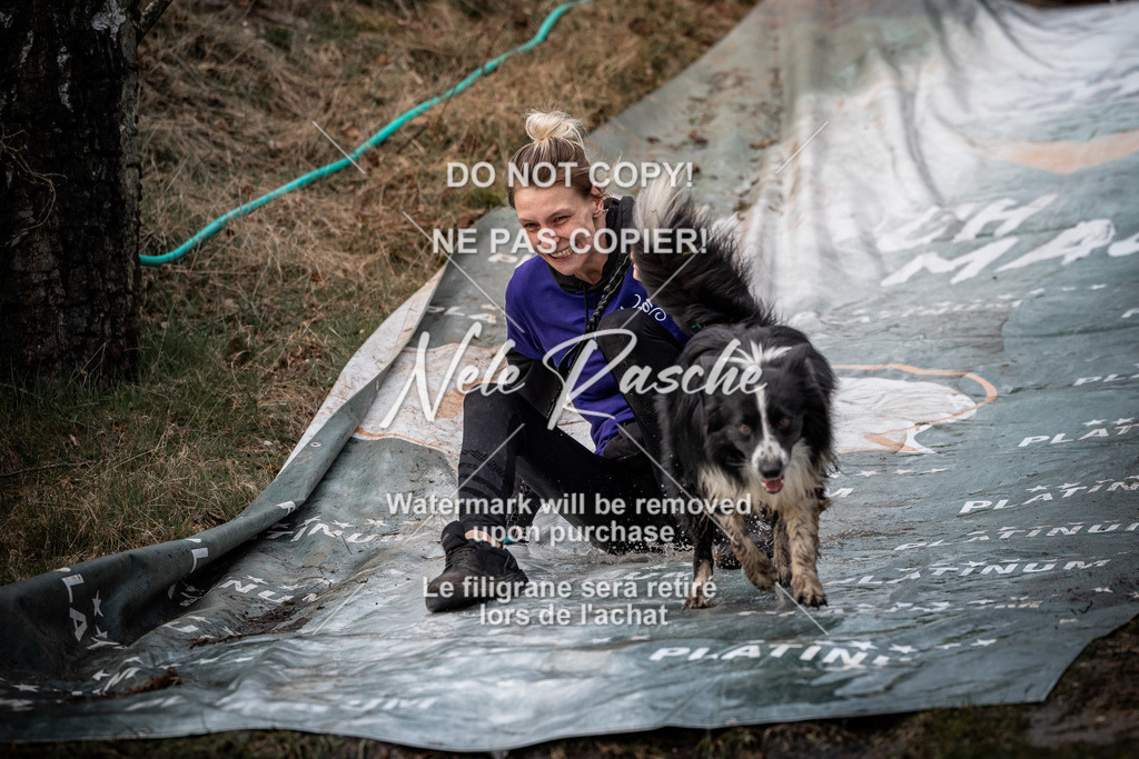 nelerasche_1330-1400_313 | nelerasche