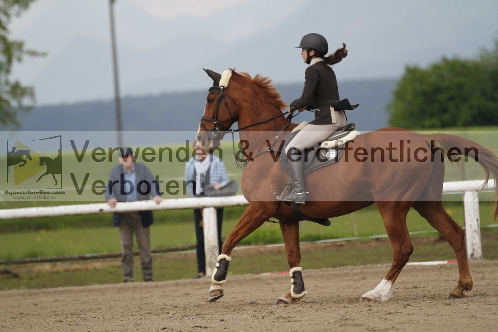 _MG_8004 | equestrian-live-com