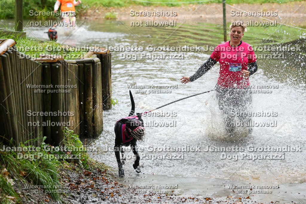Dog Paparazzi -  SD1026-8228 | Dog Paparazzi Jeanette Grottendiek Fotografie & Videografie - Realisiert mit Pictrs.com