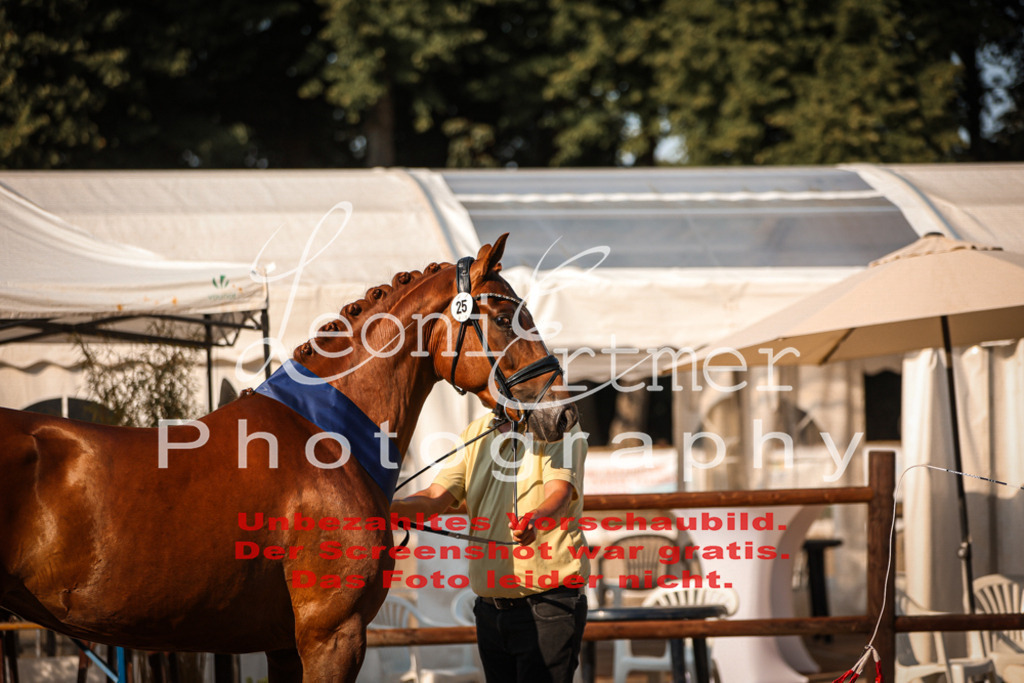 DoER00078 | Leoni Ertmer Photography - Realisiert mit Pictrs.com