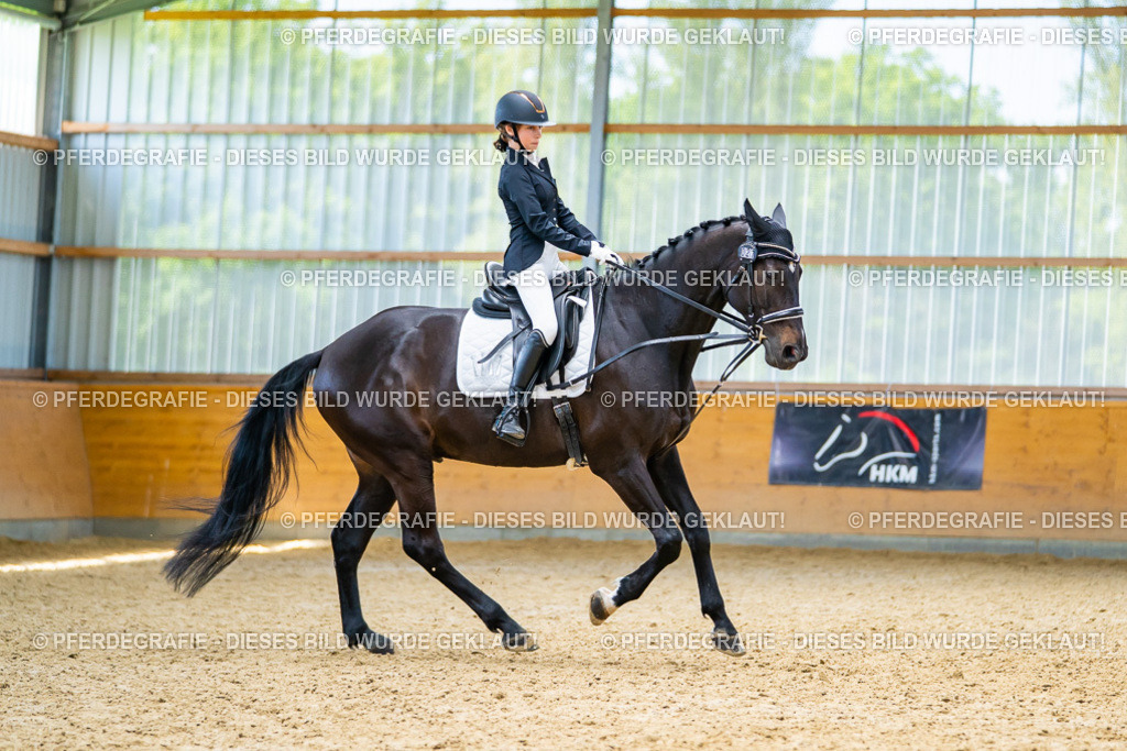 DSC09470 | Pferdegrafie