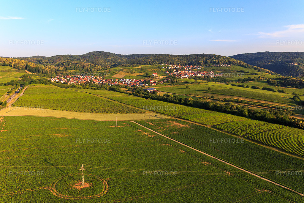 Luftbild: Weinort von Osten im Ortsteil Gleiszellen in Gleiszellen-Gleishorbach im Bundesland Rheinland-Pfalz in Deutschland. Foto: IMG_148548.jpg vom 18.06.2025 durch Werner Riehm/FLY-FOTO.de