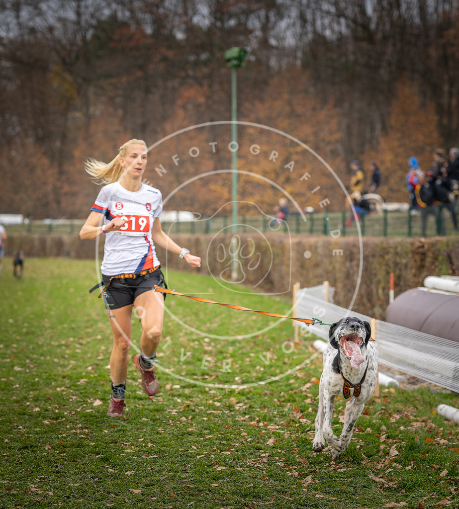 CaniXpix_DV3A6266 | Hundefotografie, Tierfotograf, Pfotenfotografie, Fotoshooting Hund, Hunde Portrait, Hundesport, Hundeportraits, Heideshooting, Hunde, Sportfotograf, Hundefotograf, Turnierhundsport, THS,  - Realisiert mit Pictrs.com