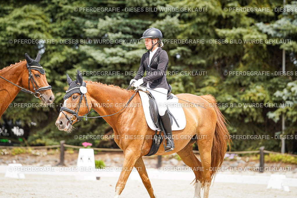 DSC04036 | Pferdegrafie