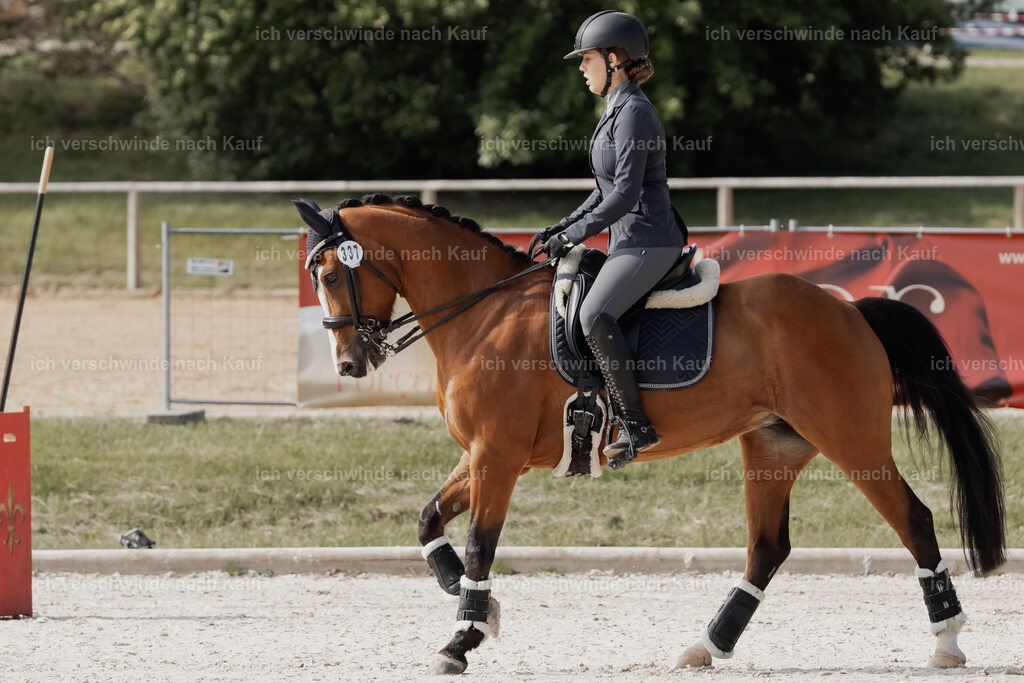 WE_ST_Stoib_337_PI2025_907 | Pferd International München 2025