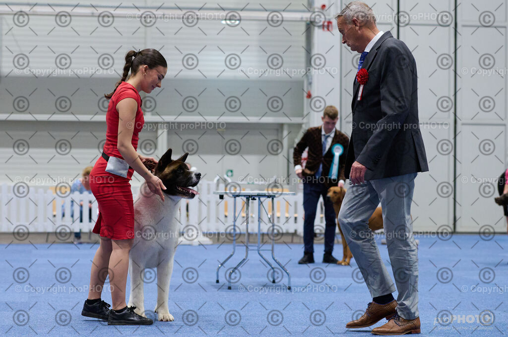 202406_ÖKV-IHA-Tulln24_DSC_3376 | proPHOTO - Realisiert mit Pictrs.com