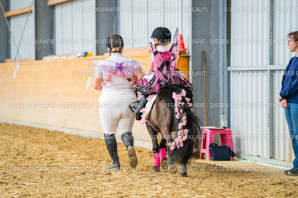 DSC00080 | Pferdegrafie