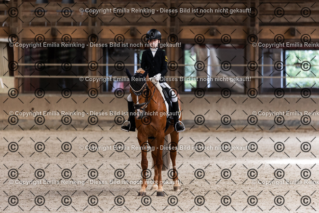 CL5A3852 | Emilia Reinking Fotografie - Realisiert mit Pictrs.com