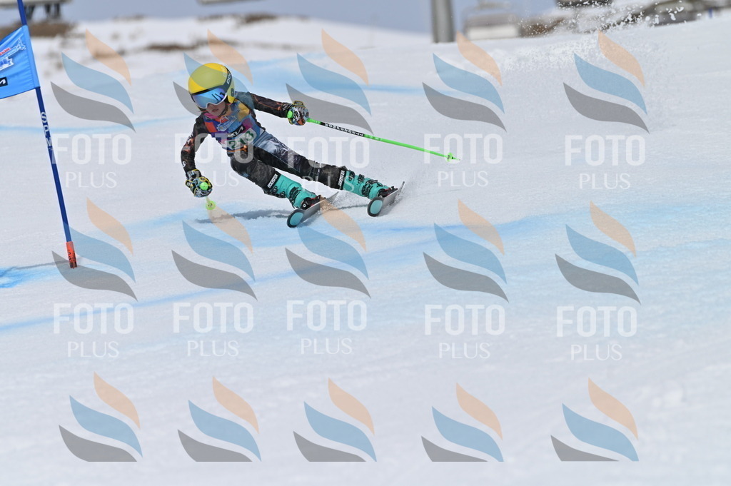 BGV_4134 | holidayphoto