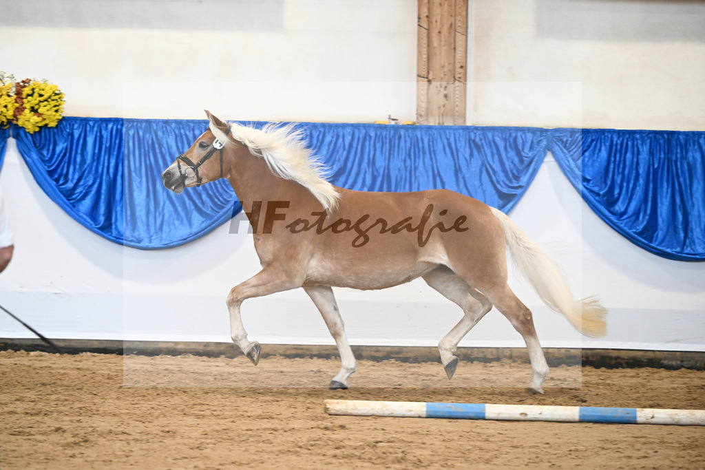 Bl. Band Kat-Nr. 14 Kleopatra v. Aquagon_Lang_48251503 | hf-fotografie - Realisiert mit Pictrs.com