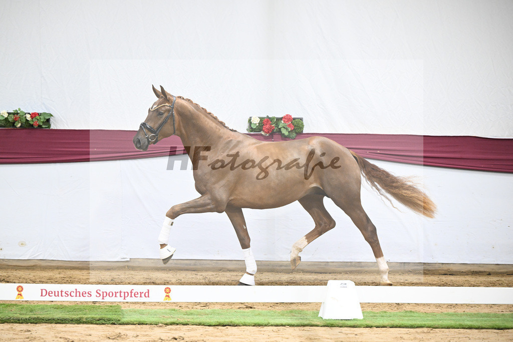 Kat-Nr. 52 Filox x Feinrich_Rothenberger Ventures GmbH_47251952 | hf-fotografie - Realisiert mit Pictrs.com