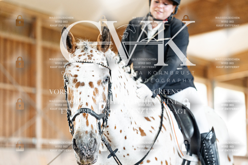 CK901240 | Turnierfotografie Pferdefotografie Trier Rheinland-Pfalz Pferdesport Reitsport Tierfotografie Sportfotografie Pferdevideo Pferdevideografie Equestrianvideography equestrianphotography  - Realized with Pictrs.com