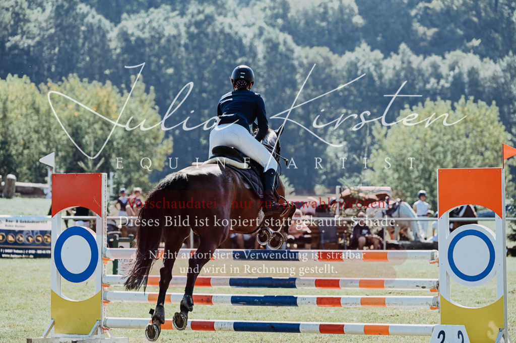 DSC_5868 | Pferde- und Turnierfotografie in Westsachsen. Pferdeportraits, Auftragszeichnungen und intuitive Kunst.