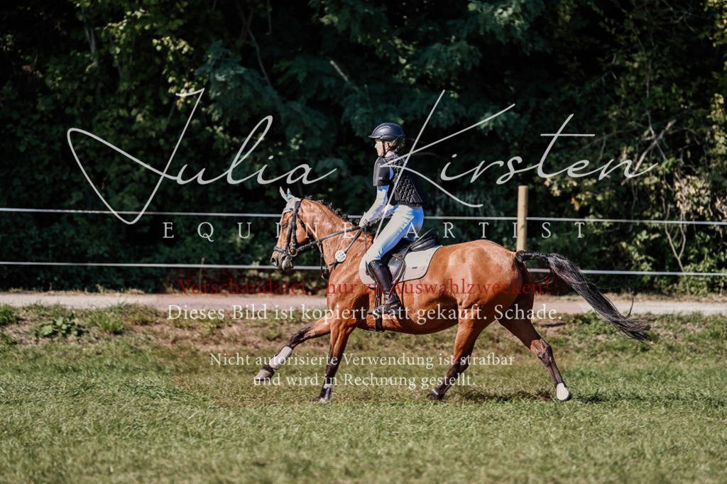 DSC_3480 | Pferde- und Turnierfotografie in Westsachsen. Pferdeportraits, Auftragszeichnungen und intuitive Kunst.
