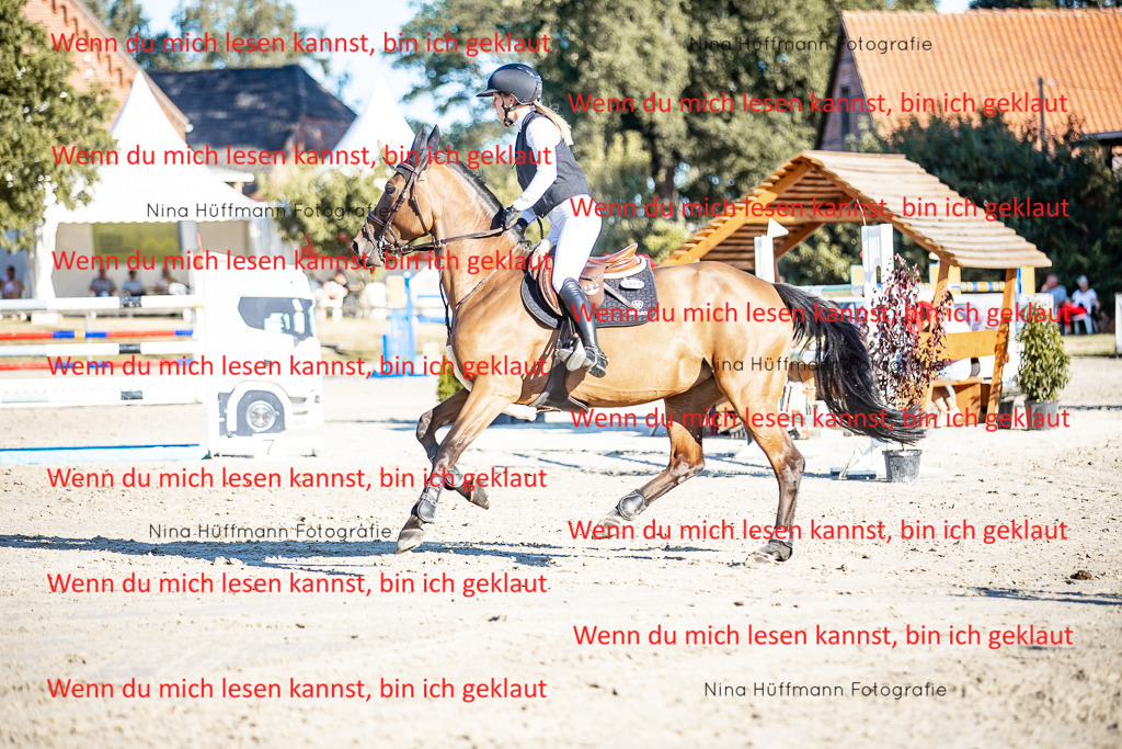 BK1A8297 | Turnierbilder Turnierfotos Nina Hüffmann Turnierfotografie Pferdefotografie Tierzeichnung Haustierzeichnung Pferdezeichnung Hundezeichnung Videograf  - Realisiert mit Pictrs.com