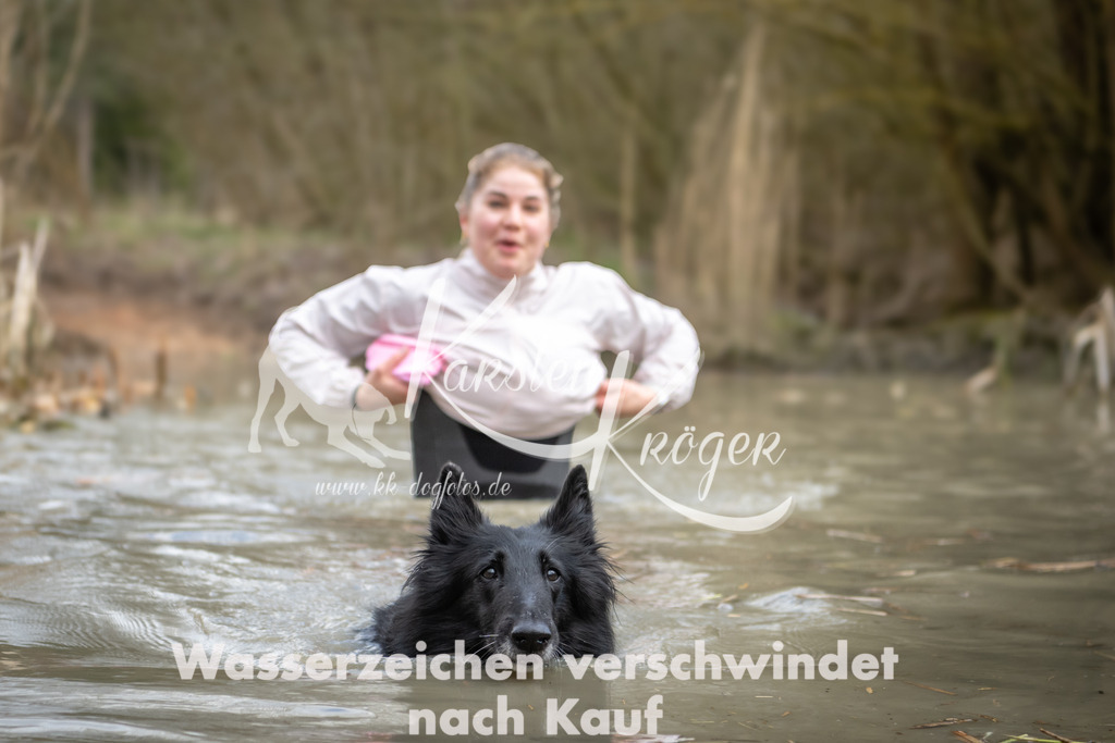 1556_ZZ94707 | kk-dogfotos