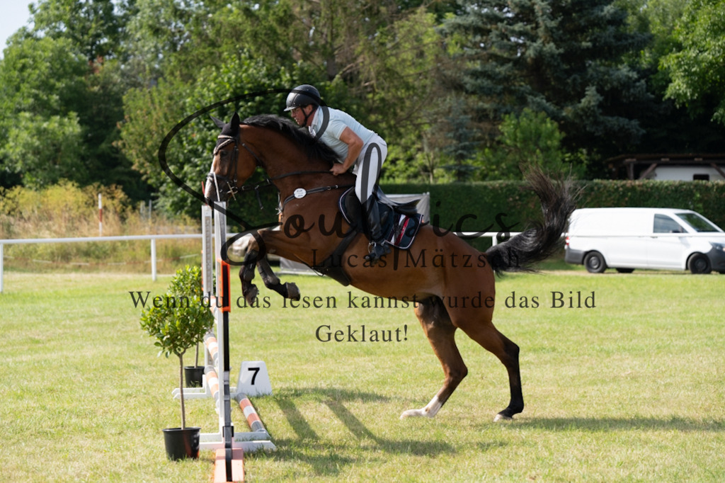 A7V01460 | Pferdefotograf