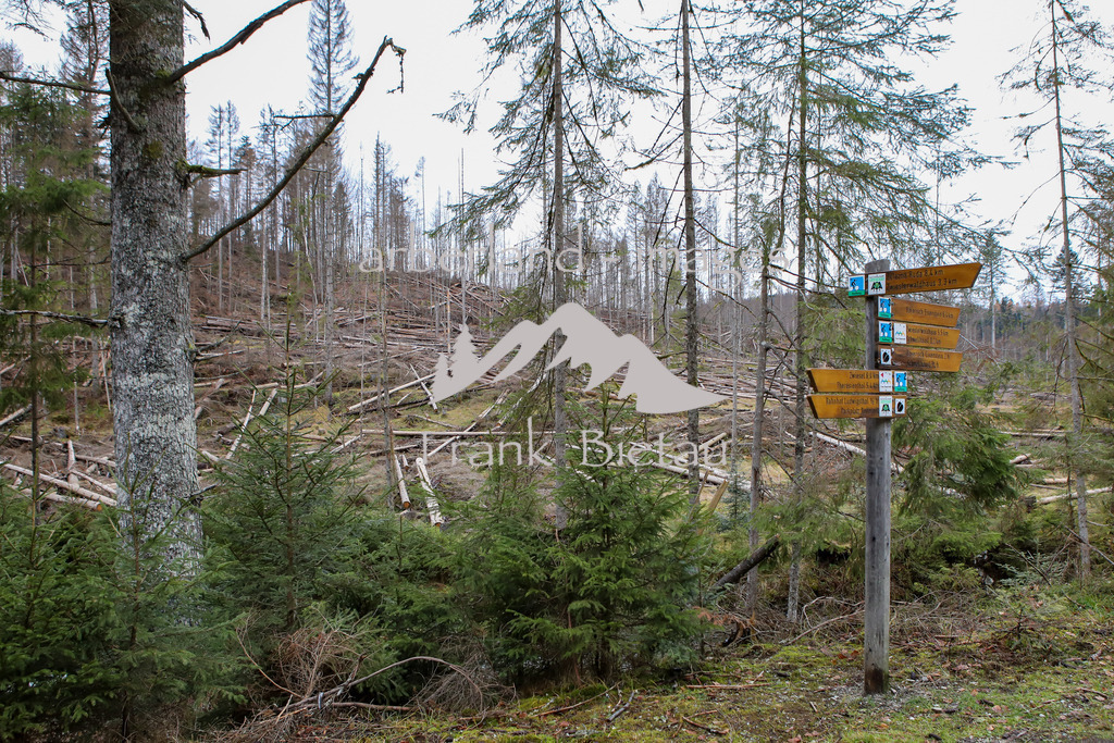 OE7A3739 | Medien- Sport- Entertainmentfotos