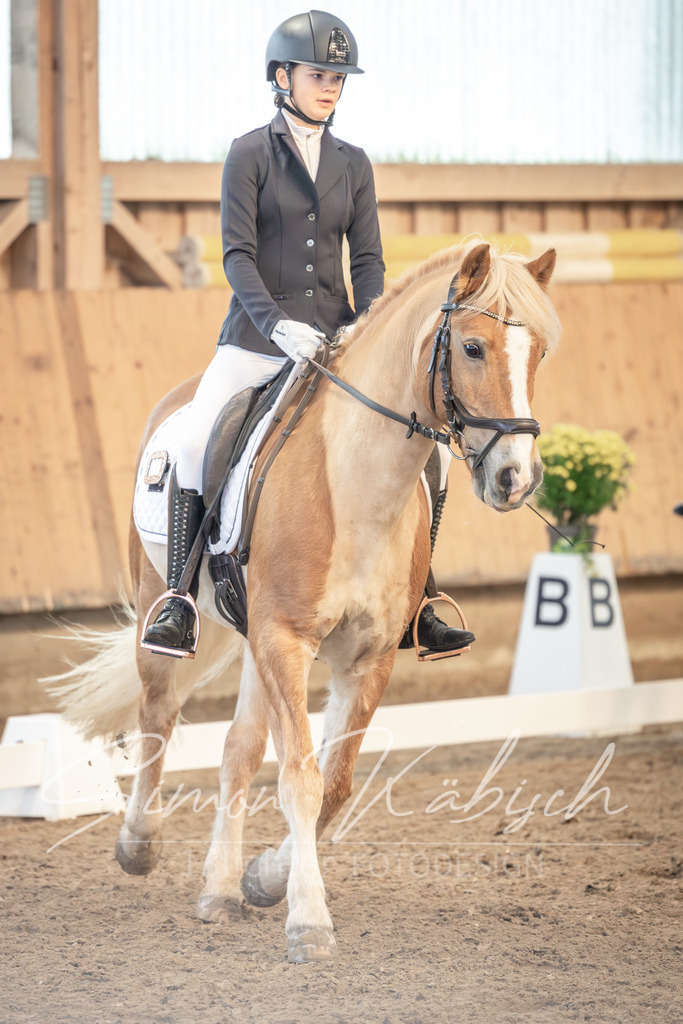 20251011-_3LI6553 | Tierfotografie Pferde, Hunde, Katzen, Haustiere.
Turnierfotografie Reitturniere, Reiten, Springreiten, Dressur in Hanau, dem Main-Kinzig-Kreis und dem Rhein-Main- Gebiet um Frankfurt