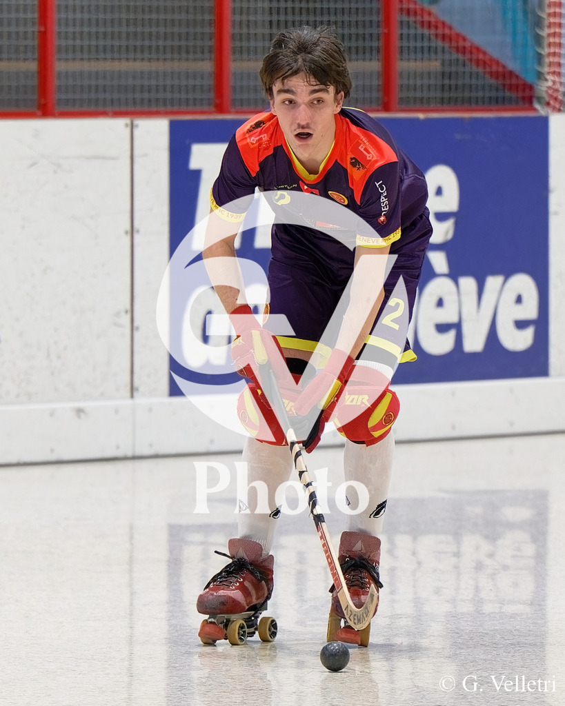 DSC_6081 | Velletri Photo