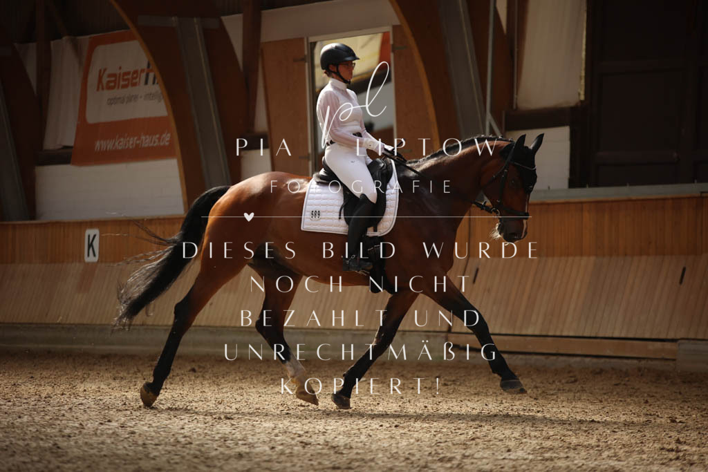 IMGS2904 | pl-fotografie