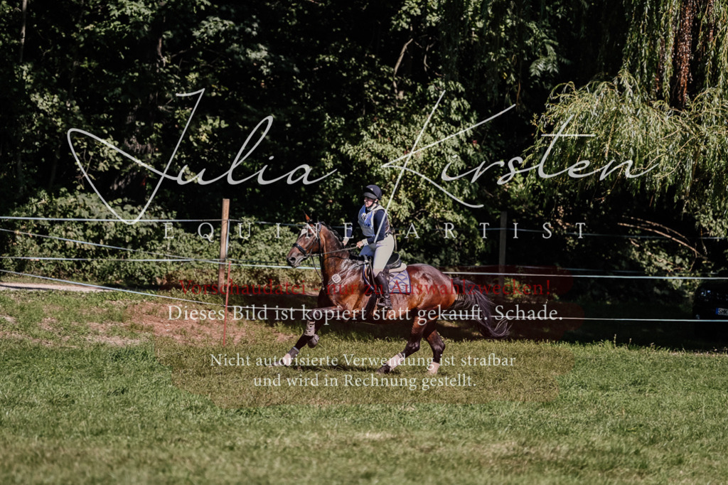 DSC_1829 | Pferde- und Turnierfotografie in Westsachsen. Pferdeportraits, Auftragszeichnungen und intuitive Kunst.