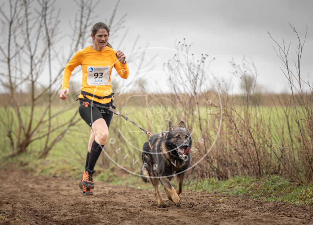 DV3A0043 | Hundefotografie, Tierfotograf, Pfotenfotografie, Fotoshooting Hund, Hunde Portrait, Hundesport, Hundeportraits, Heideshooting, Hunde, Sportfotograf, Hundefotograf, Turnierhundsport, THS,  - Realisiert mit Pictrs.com