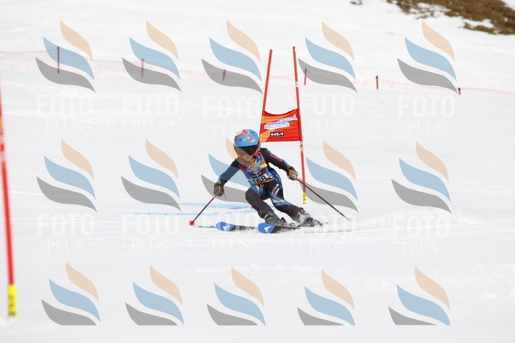 _U3G4261 | holidayphoto