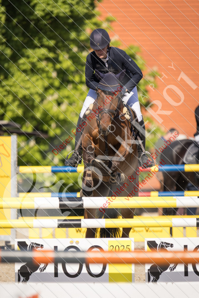 IMG_3288 | Sport-, Event- und Tierfotos in Profiqualität. Einfach auswählen, bestellen und herunterladen. Dein Moment – perfekt festgehalten.