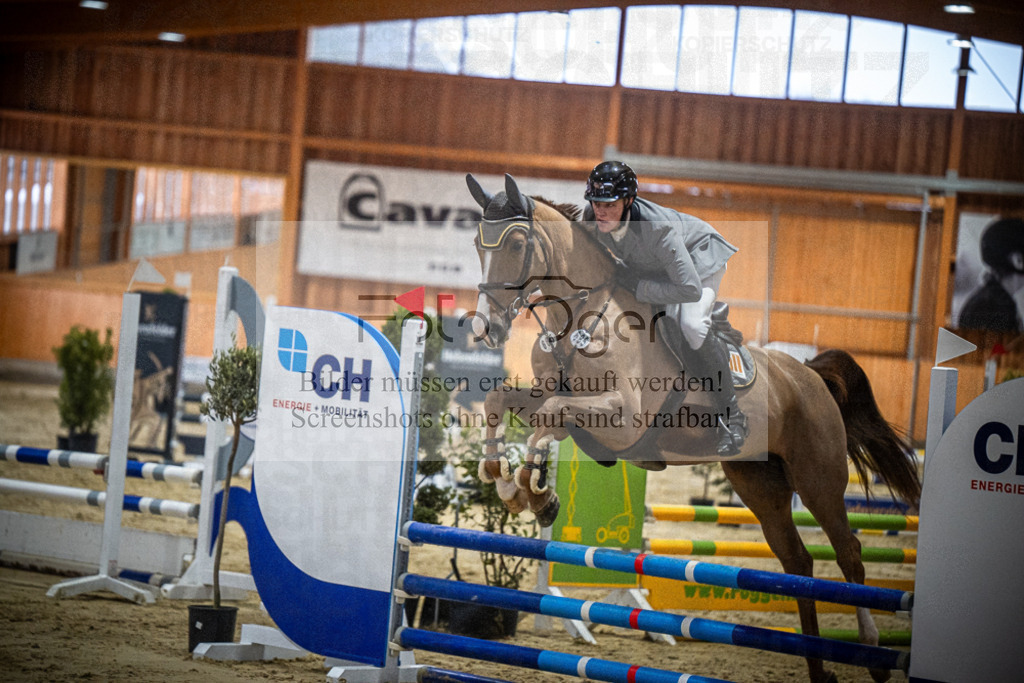 DOS_0508 | Entdecke hochwertige Reitturnierfotos von Foto Oger. Professionell, emotional und authentisch – jetzt Lieblingsmomente im Shop bestellen.Deutschlandweite Turnierfotografie. - Realisiert mit Pictrs.com