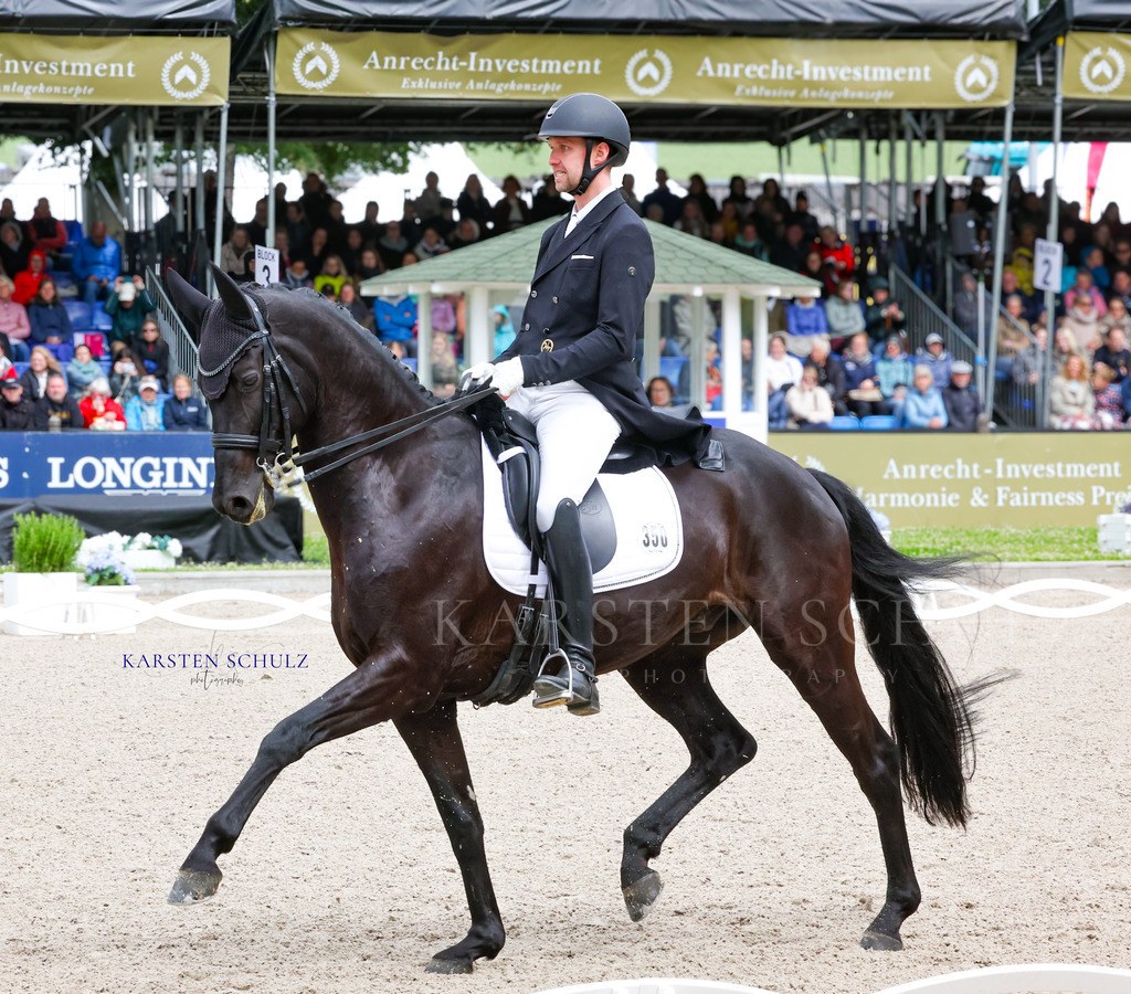1B3A7716 | Reitsport Reiten