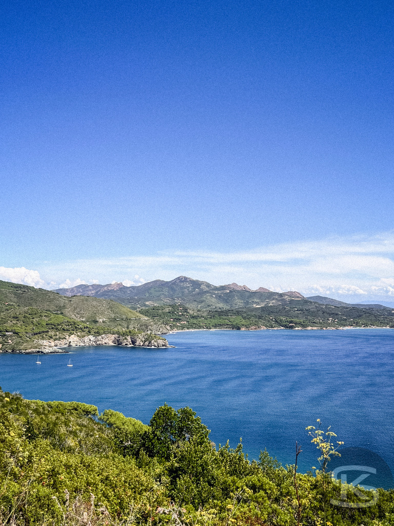 Wildes Elba: Panoramablick über die Küstenlandschaft auf das Mittelmeer – Wandbild | Panorama-Ausblick auf die hügelige Küstenlandschaft der Insel Elba mit typisch mediterraner Vegetation (Macchia) im Vordergrund und dem weiten, blauen Meer unter sommerlichen Wolkenformationen. - Realisiert mit Pictrs.com