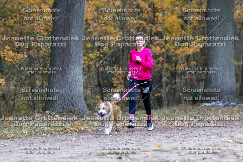 Dog Paparazzi - SD CaniX Championship 2025-501 | Dog Paparazzi Jeanette Grottendiek Fotografie & Videografie - Realisiert mit Pictrs.com