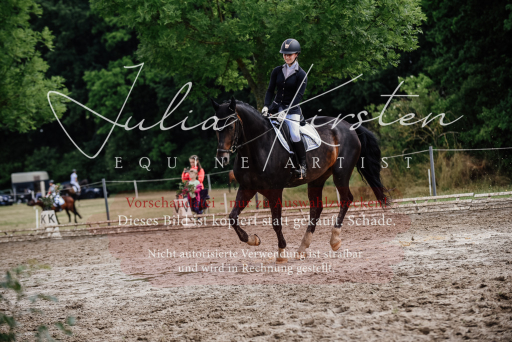 DSC_0625 | Pferde- und Turnierfotografie in Westsachsen. Pferdeportraits, Auftragszeichnungen und intuitive Kunst.