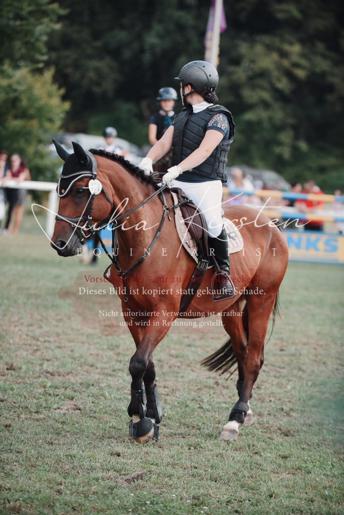 DSC_5656 | Pferde- und Turnierfotografie in Westsachsen. Pferdeportraits, Auftragszeichnungen und intuitive Kunst.