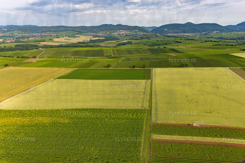Weinberge vor Klingenmünster | Luftbild: Weinberge vor Klingenmünster in Klingenmünster im Bundesland Rheinland-Pfalz in Deutschland. Foto: IMG_141744.jpg vom 18.06.2024 durch ©2025 Werner Riehm fly-foto.de/copyright - Realisiert mit Pictrs.com