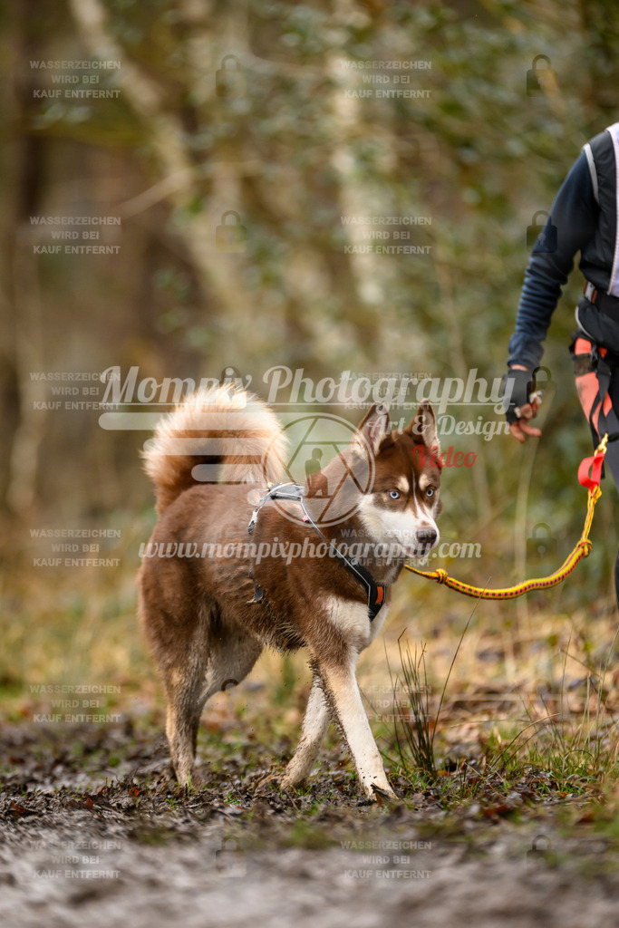 MompixPhotography_CDSM24_SA_CCS-230 | PayLife