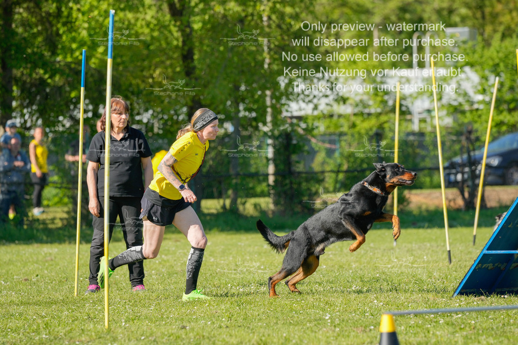 Sa_CSC-458 | stephaniefillaphotographie - Realisiert mit Pictrs.com