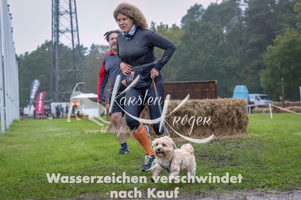 1243--8 | kk-dogfotos