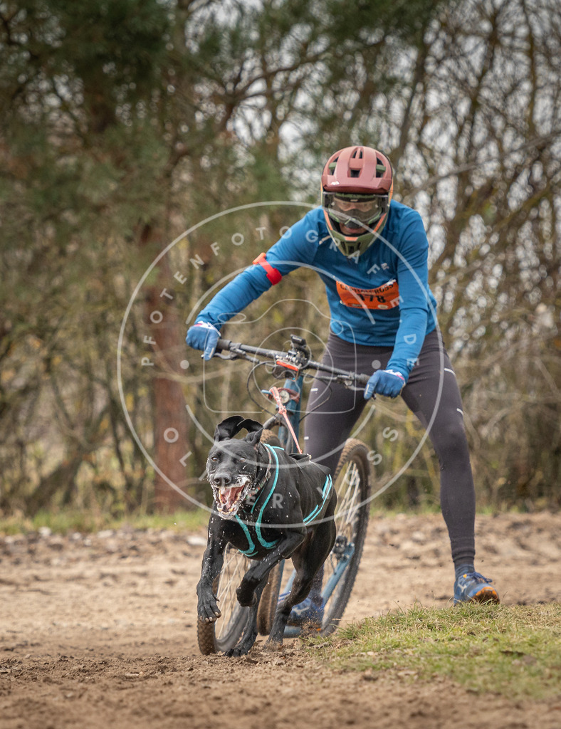 Pfotenfotografie_DV3A9524 | Hundefotografie, Tierfotograf, Pfotenfotografie, Fotoshooting Hund, Hunde Portrait, Hundesport, Hundeportraits, Heideshooting, Hunde, Sportfotograf, Hundefotograf, Turnierhundsport, THS,  - Realisiert mit Pictrs.com