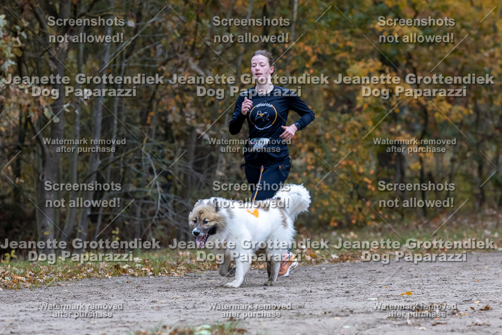 Dog Paparazzi - SD CaniX Championship 2025-374 | Dog Paparazzi Jeanette Grottendiek Fotografie & Videografie - Realisiert mit Pictrs.com