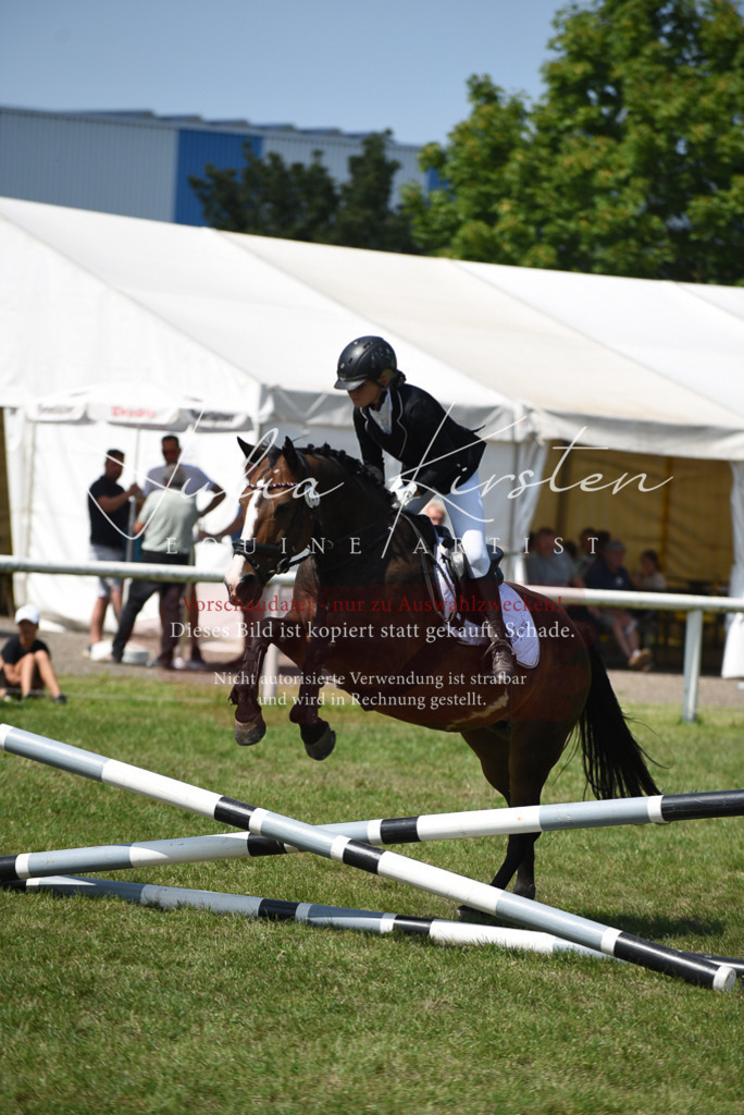 DSC_0067 | Pferde- und Turnierfotografie in Westsachsen. Pferdeportraits, Auftragszeichnungen und intuitive Kunst.