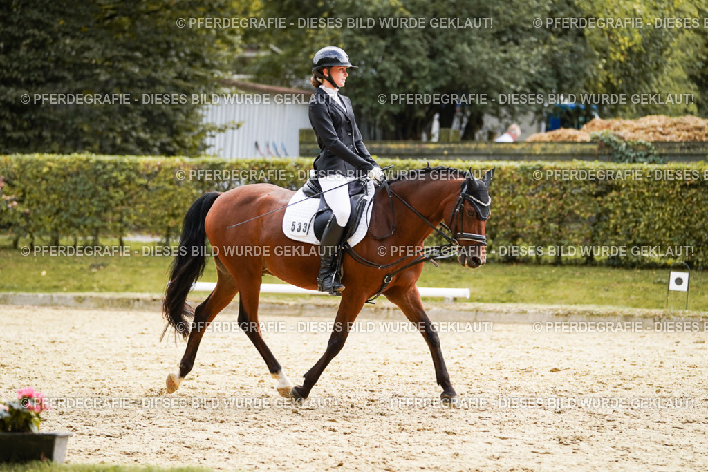 DSC01084 | Pferdegrafie