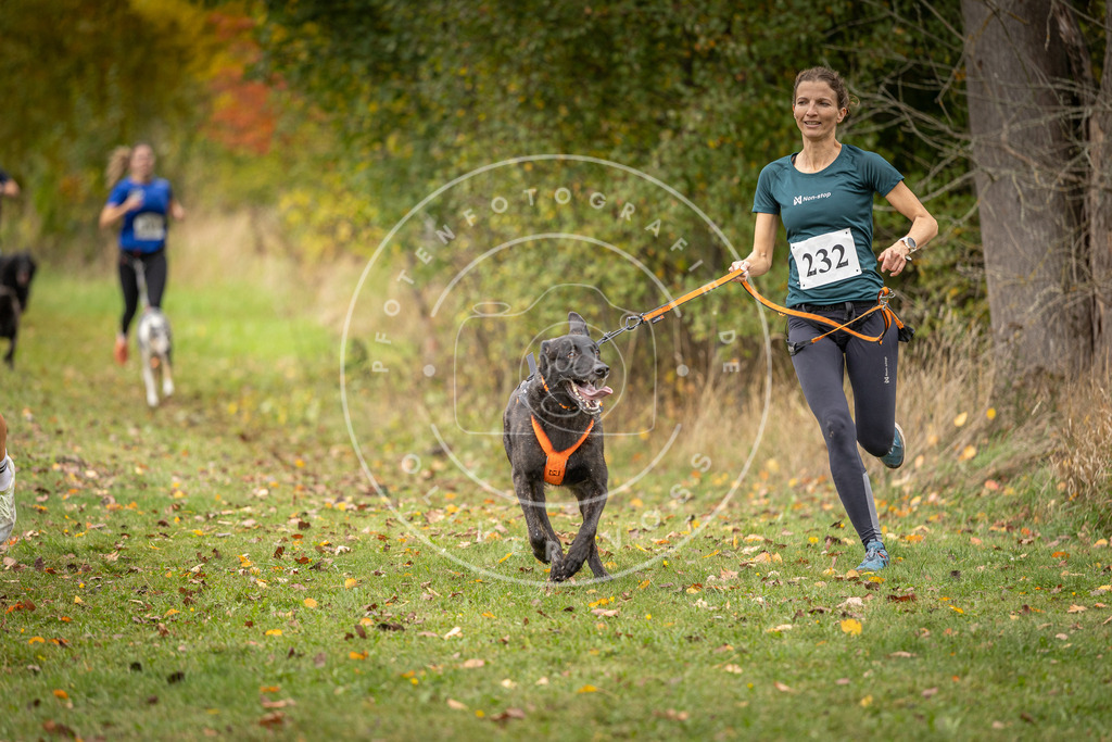Pfotenfotografie_DV3A4723 | Hundefotografie, Tierfotograf, Pfotenfotografie, Fotoshooting Hund, Hunde Portrait, Hundesport, Hundeportraits, Heideshooting, Hunde, Sportfotograf, Hundefotograf, Turnierhundsport, THS,  - Realisiert mit Pictrs.com