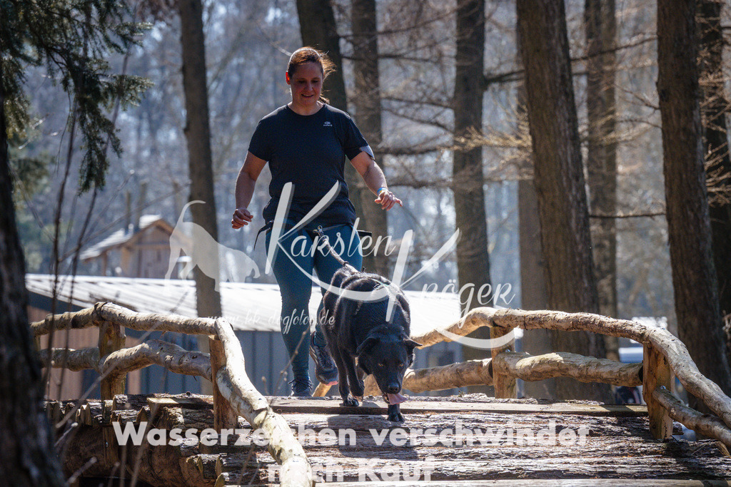 1151_ZZ90378 | kk-dogfotos