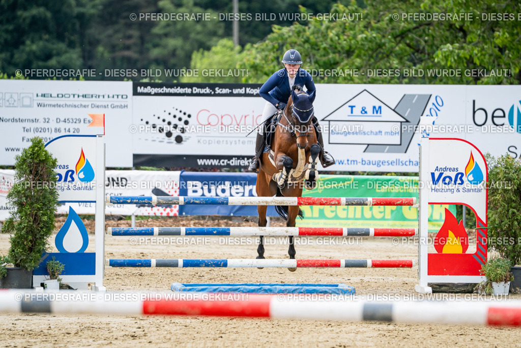 DSC05341 | Pferdegrafie