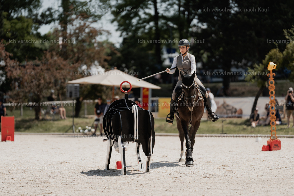 7C_04382 | Pferd International München 2025