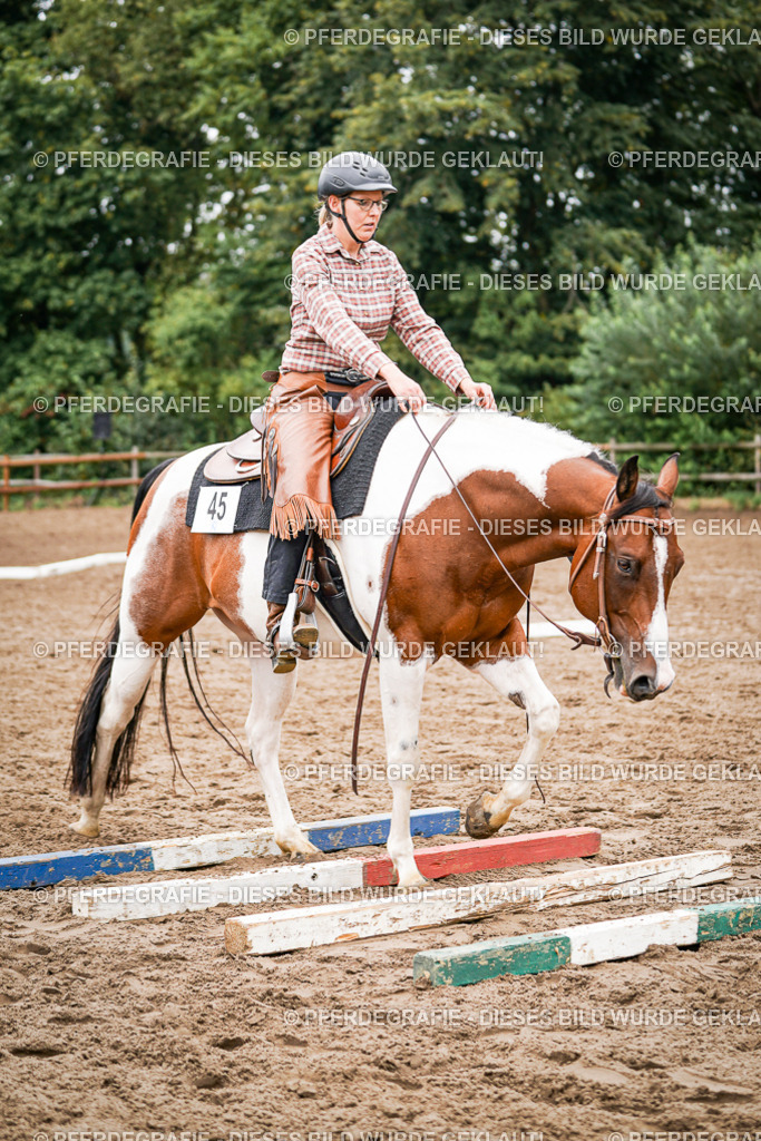 DSC04101 | Pferdegrafie